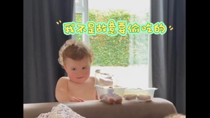 ลูกสัตว์ทำ “เรื่องซน” ถูกจับได้คาหนังคาเขา