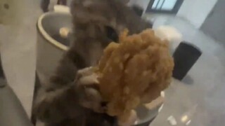 ลูกแมวจีน ข้าวห่อปีกไก่ชิ้นนี้