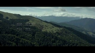 Dear Tenant(2020) movies