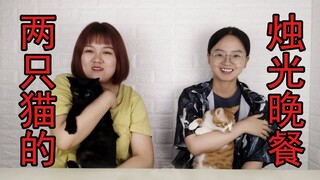 I made a candlelight dinner for two cats. Cats: What sin have I committed?? ! !