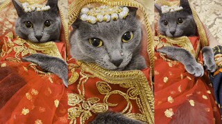 قامت الأم بتربيته كأميرة صغيرة