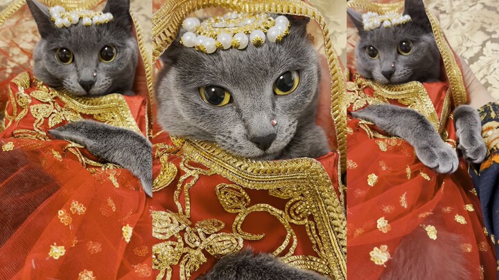 قامت الأم بتربيته كأميرة صغيرة