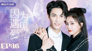 MUTLISUB【因为遇见爱/Because of Meeting Love】▶EP 36💋美艳核心研究员爱上帅气“掮客”，一场势均力敌的爱情即将拉开序幕....#罗云熙#宋茜❤️丸子甜宠剧场