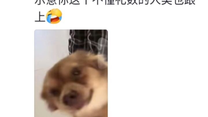 Because her bestie often stops by with groceries, the dog now treats her like the pillar of the fami