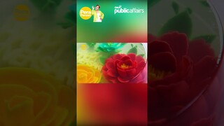 How to make a jelly cake? #shorts | Pera Paraan