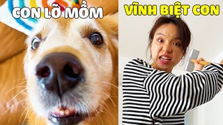 Đại Trang | Mama Số Nhọ, Khi Miếng Ăn Nào Cũng Tới Cái Mồm Của Đại Trang Lươn Lẹo 🤣 Gâu Đần Official