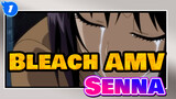 [Bleach AMV / Shihouin] Untuk Mengingat Senna_1