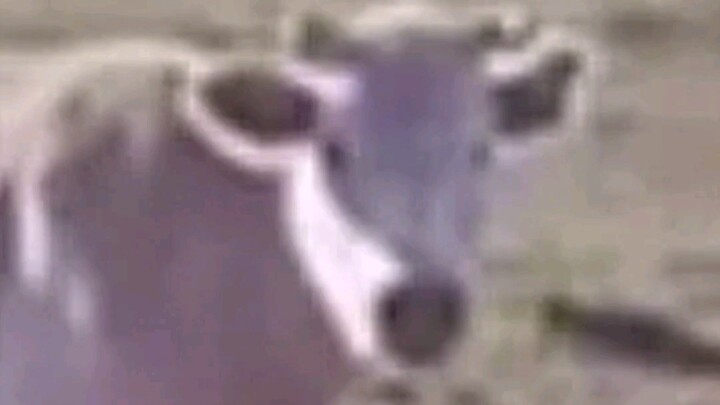 ⚡ Unlimited Milk ⚡