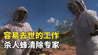 容易去世的工作01，美国杀人蜂清除专家，每天都要冒死捅蜂窝