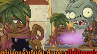 พืชที่ปลูกแล้วเกินคุ้ม ต้นเดียวเป็นได้ทุกอย่าง Plants vs Zombies 2