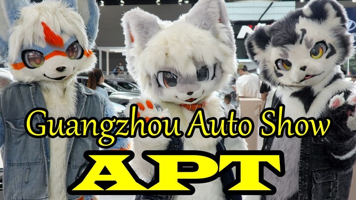 【兽装舞蹈】广州车展2024：银碳Gintan, 鱼鱼祭鱼 和 一只捡来的晓节 - APT