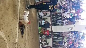 Tagalogin from Quezon#1st figth win 🎉