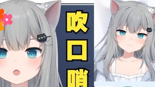 Gancheng cat whistles ~ debu cat is cute