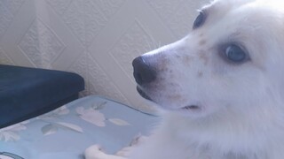 I Bought A Bed For My Baby Boo XD