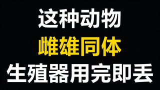أين توجد الحيوانات السحرية؟ إنها قوية جدًا لدرجة لا تُصدَّق!