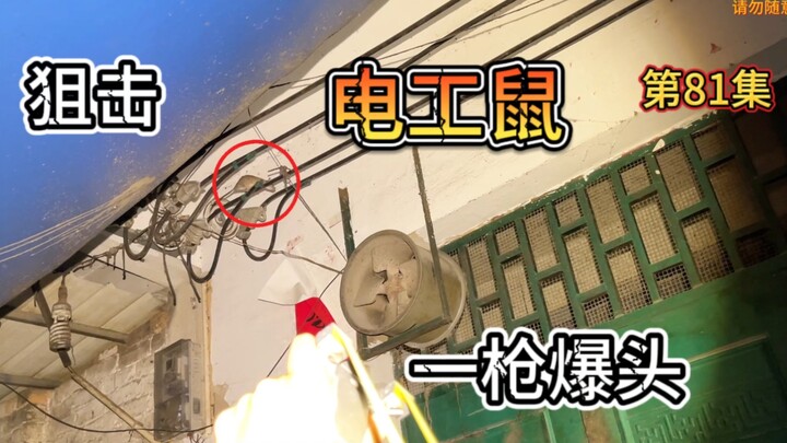 天冷了电工鼠还敢这么嚣张，结果被一发爆头，看你还敢得瑟吗！