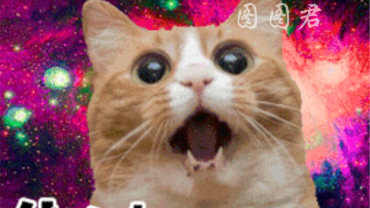 I’ve been blown away by another trivia fact about cockroaches—I swear they’re practically sentient n