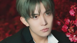 Album mới "DARK BLOOD" của ENHYPEN đã được phát hành