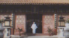 “甄核”Ⅲ安小鸟的一场梦。