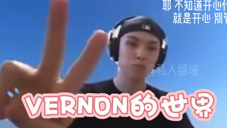 Seventeen13个人的隔离直播 我的目光总是被这只自由奔放的兴奋小啵吸引 啊啊啊啊啊啊啊啵哝真的不是我流浪在外的儿子吗