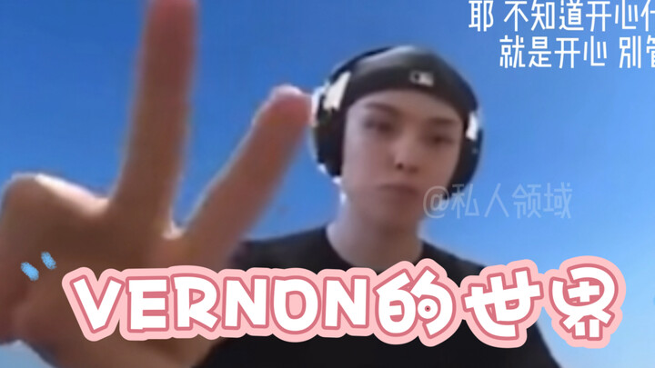 Seventeen13个人的隔离直播 我的目光总是被这只自由奔放的兴奋小啵吸引 啊啊啊啊啊啊啊啵哝真的不是我流浪在外的儿子吗