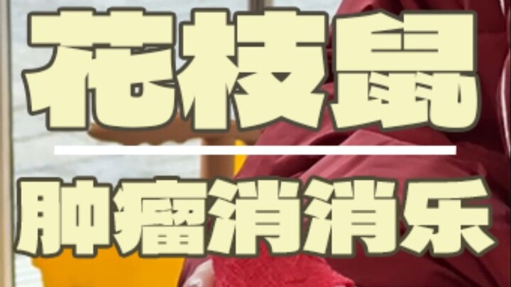 วันนี้จัดกับดักให้พี่หนูสักหน่อย!