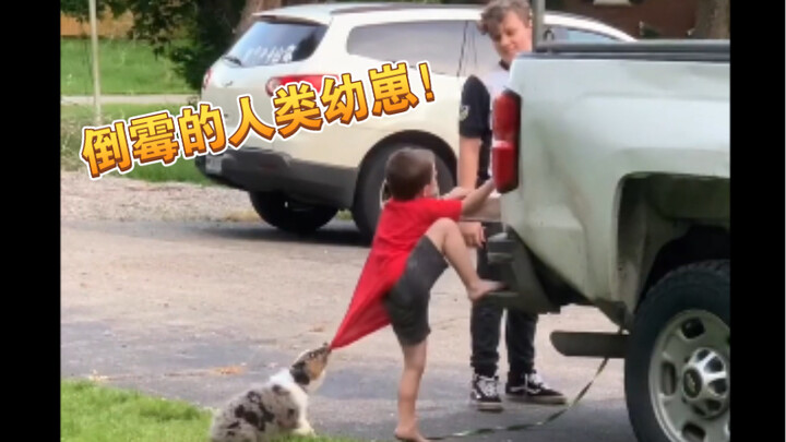 Emm… Những khoảnh khắc xui xẻo kinh điển của “con nít” loài người, hãy bảo vệ con mình thật cẩn thận