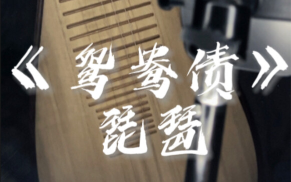 Đàn tỳ bà "Oanh Ương Trái"