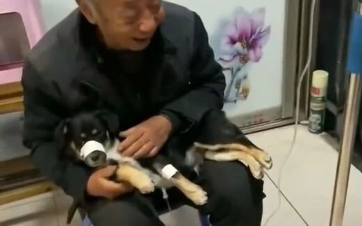 They’re all the apples of our eyes—may they run healthy and happy!