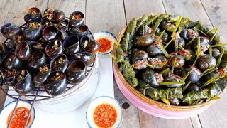 Mấy Chú Cháu Đi Vớt Ốc Về Làm Mồi Nhậu "Lai Rai" | MTQH