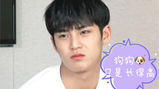 【SEVENTEEN Kim Mingyu】Cảnh quay nổi tiếng về chiều cao của Big Dog