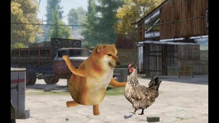 The young man picked up a chicken.