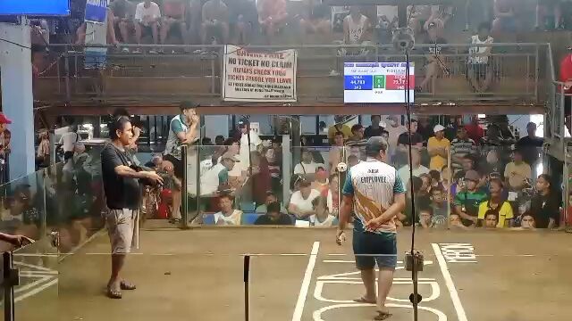 binabae wins