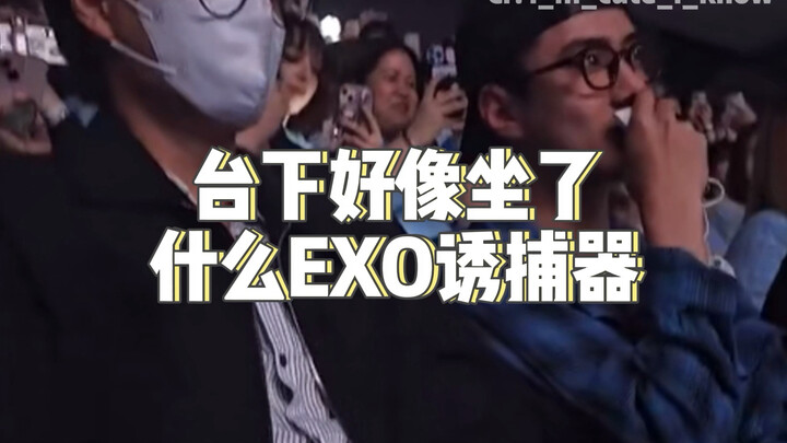 【EXO】Hai thành viên nhỏ tuổi nhất là bẫy dụ fan EXO sao vậy