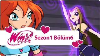 Winx Club - Sezon 1 Bölüm 6 - Sihirli Arşivin Şifresi