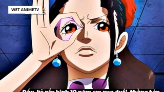 Top 6 Thiếu Nữ Dại Trai Nhất Trong One Piece #14 4