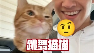 Kurt, the Dancing Cat