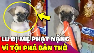 Bé Lu đần bị 'MẸ PHẠT' ngồi một góc vì tội 'PHÁ BÀN THỜ' ông địa 😅 Gâu Đần