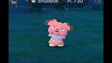 Snubbull #jasvida #pokemon #feralgames #pokemongo #Snubbull