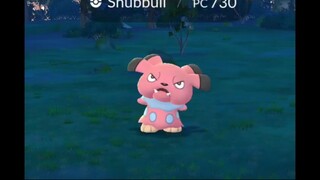 Snubbull  #jasvida #pokemon #feralgames #pokemongo #Snubbull