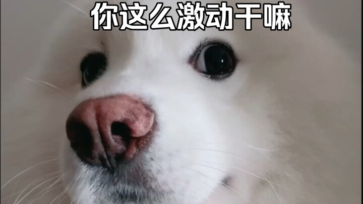 Well, look at this—snuck some snacks at home, then acted all innocent and came to play with you, sti