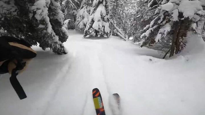 热爱生活的一万种理由！