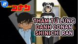 Shinichi vs Ran (TV Tập 450-500) | Thám tử lừng danh Conan_2
