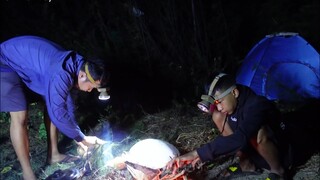 Sinh tồn bãi biển ốc viết. Đào hang bắt còng gió - Bin Đen Miền Tây # 298