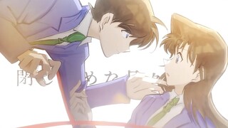 【خط يد شينران/كوران】الركض في الليل