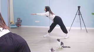 【Su Simiao】Warm up with me and do stretching exercises/Stretch Routine