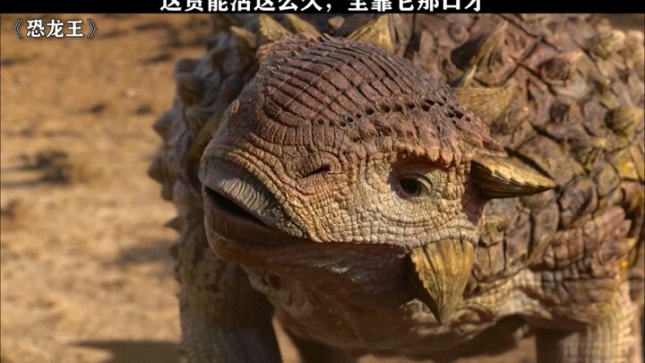 You don’t seriously think my 800-degree glasses are weak, do you?