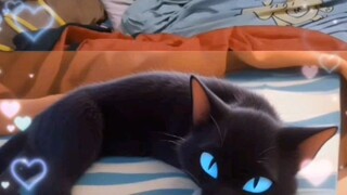 ท๊อฟฟี่