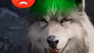 Quảng cáo hài hước ở nước ngoài