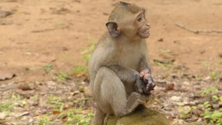 Poor Baby Janet screaming Giant Monkey, Where Mom Come To Get Baby Scare, Janet Nearly Better Baby